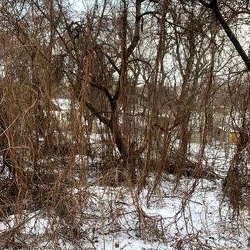 Продається дача на обласній лікарні