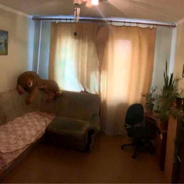 Салтівське шосе, 254