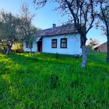 Будинок з земельною ділянкою 52 сотки