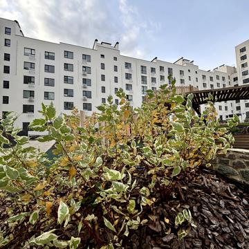 Соборна вул., 285ж