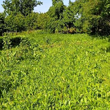 Продаж 3к Дім вул. Лесі Українки