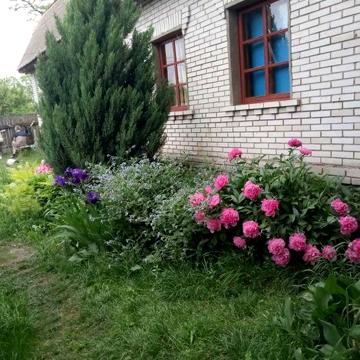 Продажа житлового будинок