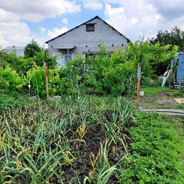 Продам дачу с домом