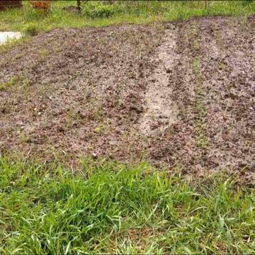 Продам дачу в СТ Лісова Поляна без посередників