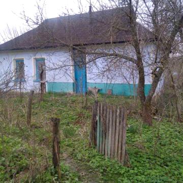 Продається будинок в Дзеленцях