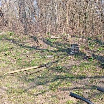 Продаю или обменяю на авто