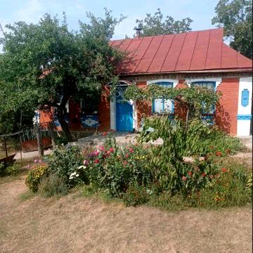 Продам будинок в с.Носівці