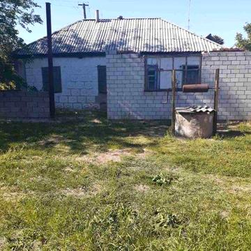Дом в Царичанке возле озера