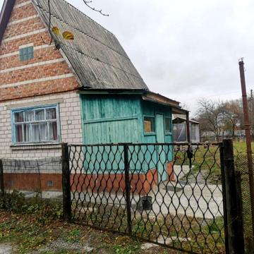 Янтарна