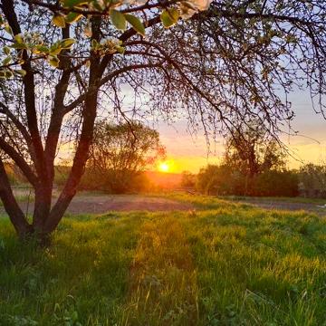 Продаж 4к Дім Братів Незабитовських (Пархоменка) провулок
