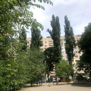 Сімї Глодан вул., 21