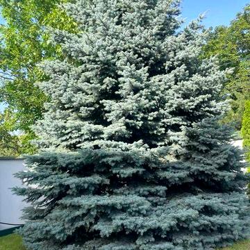 Изумительная Классика! Дом на 6 сотках! Ул. Баштанная! 1A37