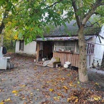 Будинок с.Велика Офірна. Хата