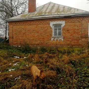 Продається будинок с. Чечелівка.