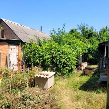 Продам Усадьбу в м. Суми . Недалеко від центру.