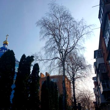Вайсера вул., 15