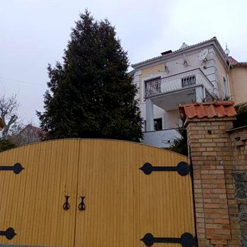 Продам будинок в селі ВИТАЧІВ