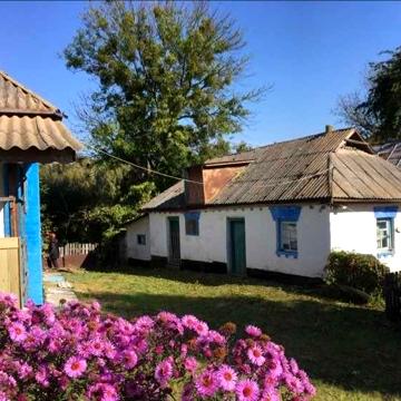 Будинок в селі Нестерівка