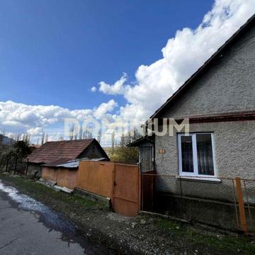 Продається будинок з великою земельною ділянкою в с. Крива