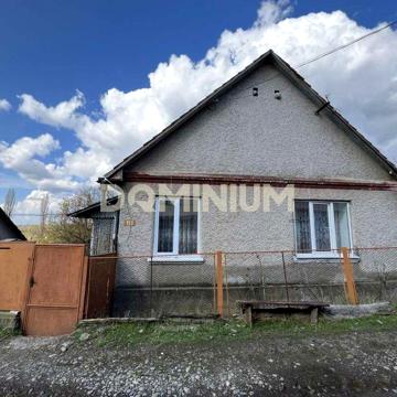 Продається будинок з великою земельною ділянкою в с. Крива