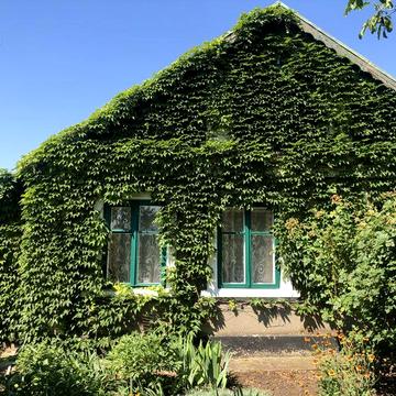 Зайти и жить!Продам отличный дом  ст. Карпово!33 сот!40 мин от Одессы