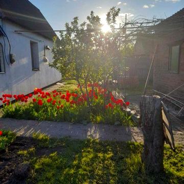 Продам будинок у місті Миргород