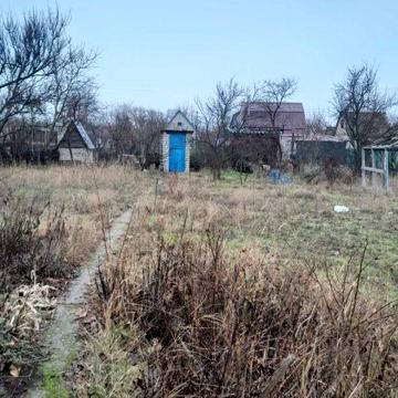 Дача Власовка сады 4