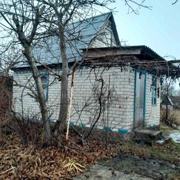 Дача Власовка сады 4