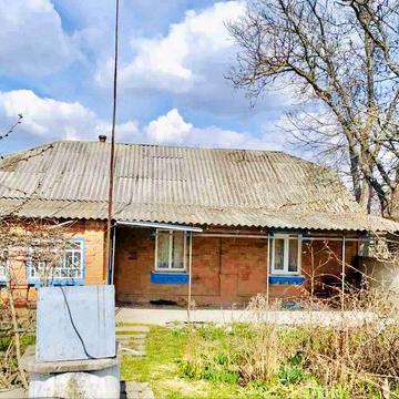 Будинок цегляний в селі