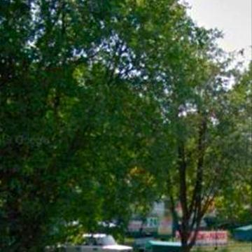 Дом  під ремонт  с участком 30 соток  мв с. Покровская Багачка