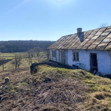 Будинок із земельною ділянкою