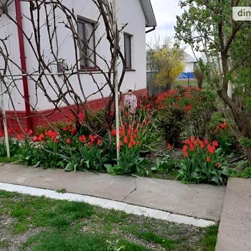Продаж 3к Дім Буковинська вулиця