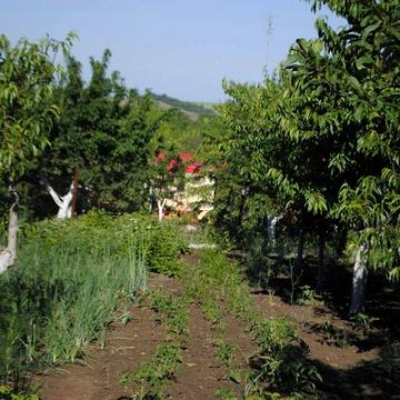 Продам дачу Доброслав