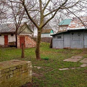 Будинок в с. Плоске мальовничому куточку Чернігівщині