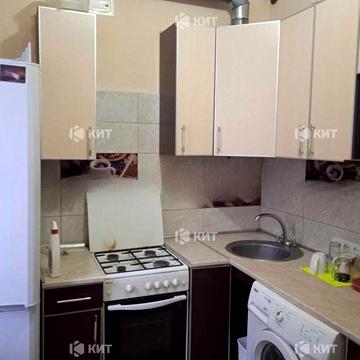 3к.74м2, Центр (ул. Чернышевская 90, м. Университет) 125753