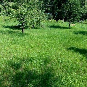 Оренда дачі ( напрямок Літки, Бровари) на літо