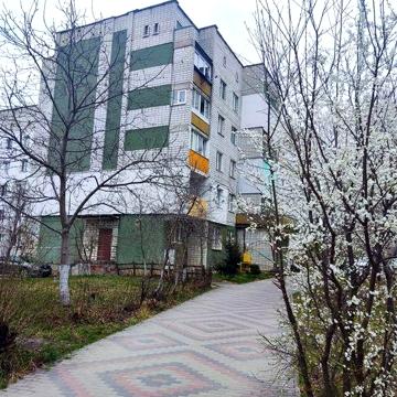 Однокімнатна квартира ( чешка )