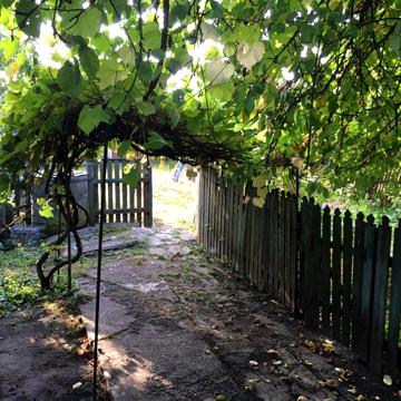 Продам будинок село Алтинівка.