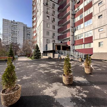Миру просп., 11