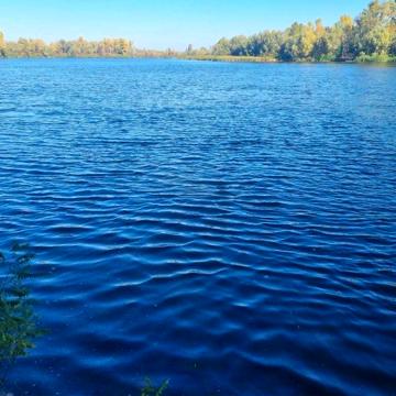 Сдам дом Хотянівка Осещина березі річка Десна