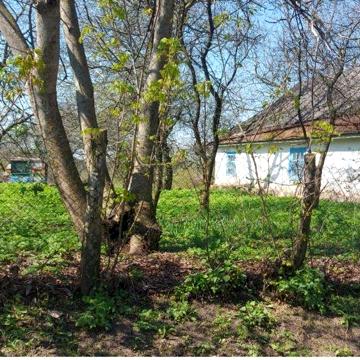 Продаж будинку з ділянкою
