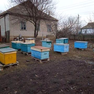 Продам будинок в гарному місці