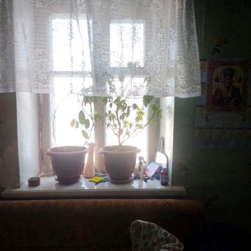 Недвижимость дом