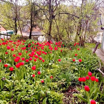 Будинок в Богуславі! 10 хв ходу до центру!