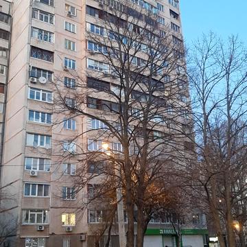 Людвіга Свободи просп., 32