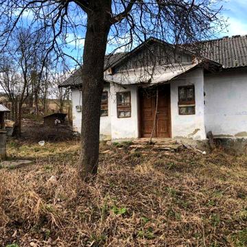 Цегляний будинок і земельна ділянка