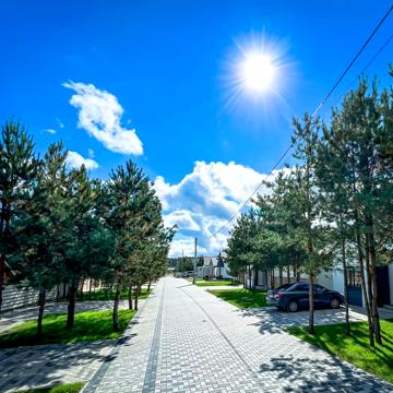 Соснова, 17