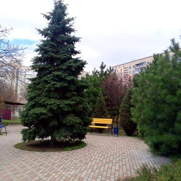 Продам 3х кв рн 2й шк расмотрим вариант обмен на дом