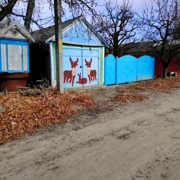 Будинок із великим господарством – с. Білoусівка