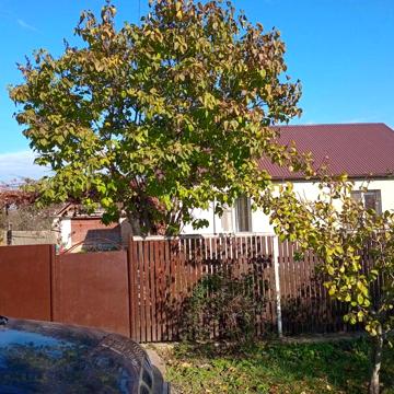 Продаю будинок м.Ізяслав , вул.Зелена 26